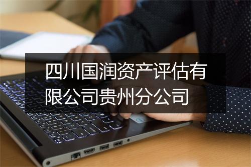 四川国润资产评估有限公司贵州分公司