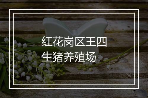红花岗区王四生猪养殖场