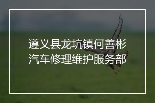遵义县龙坑镇何善彬汽车修理维护服务部