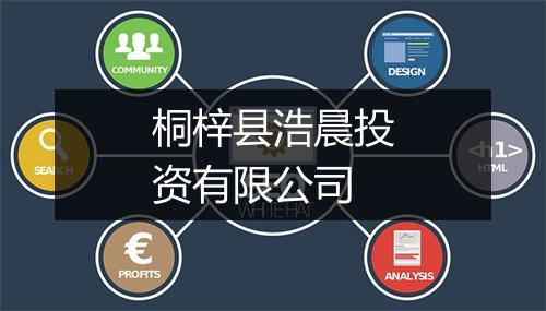 桐梓县浩晨投资有限公司