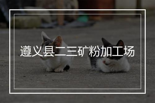 遵义县二三矿粉加工场