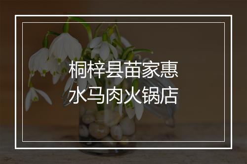桐梓县苗家惠水马肉火锅店