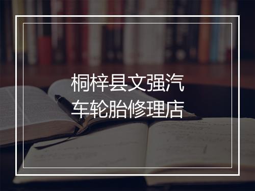 桐梓县文强汽车轮胎修理店