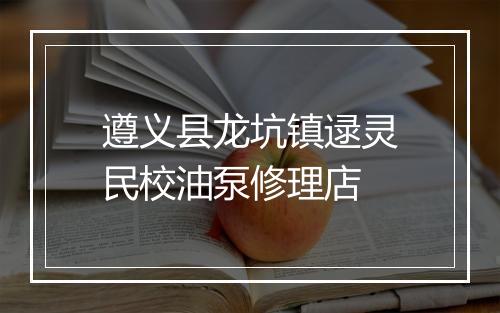 遵义县龙坑镇逯灵民校油泵修理店