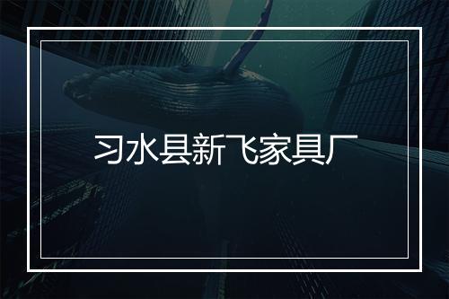 习水县新飞家具厂