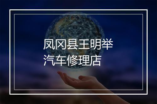 凤冈县王明举汽车修理店