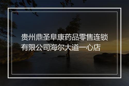 贵州鼎圣阜康药品零售连锁有限公司海尔大道一心店