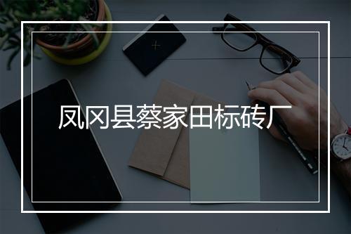 凤冈县蔡家田标砖厂