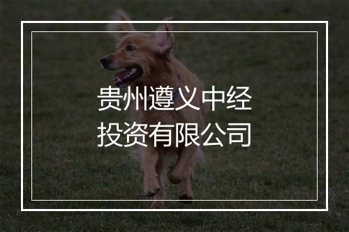 贵州遵义中经投资有限公司