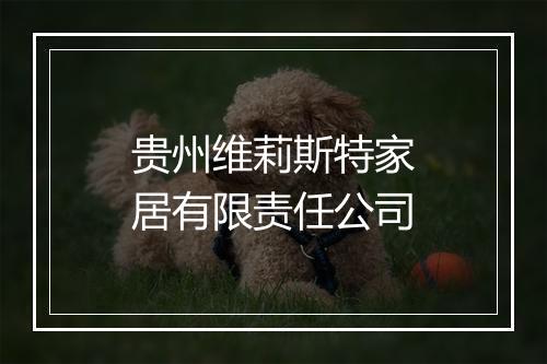 贵州维莉斯特家居有限责任公司