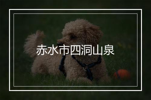 赤水市四洞山泉