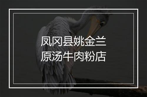 凤冈县姚金兰原汤牛肉粉店