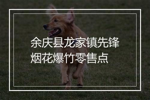 余庆县龙家镇先锋烟花爆竹零售点