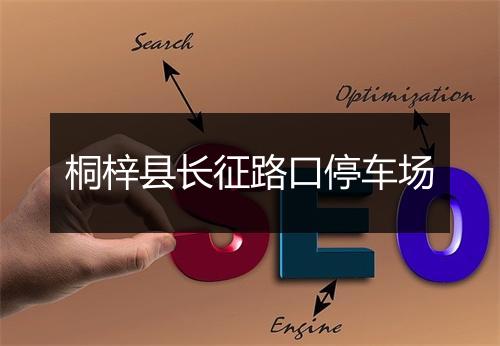 桐梓县长征路口停车场