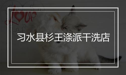习水县杉王涤派干洗店