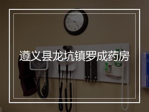 遵义县龙坑镇罗成药房