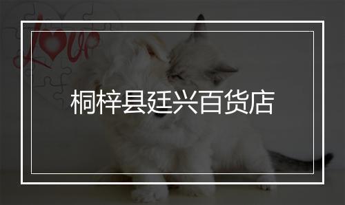 桐梓县廷兴百货店