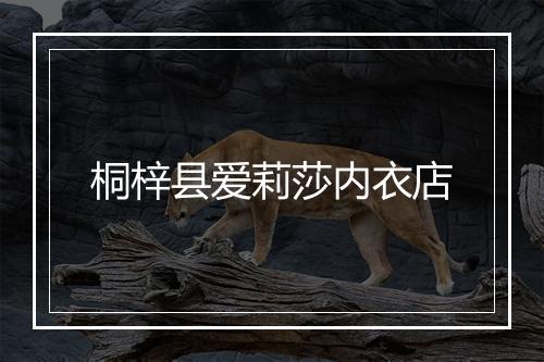 桐梓县爱莉莎内衣店