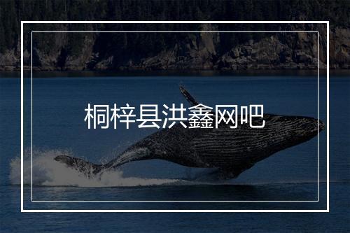 桐梓县洪鑫网吧
