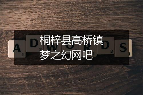 桐梓县高桥镇梦之幻网吧