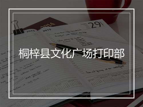 桐梓县文化广场打印部