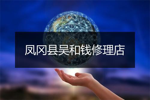 凤冈县吴和钱修理店