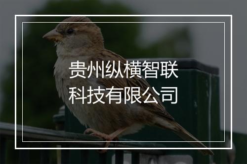 贵州纵横智联科技有限公司