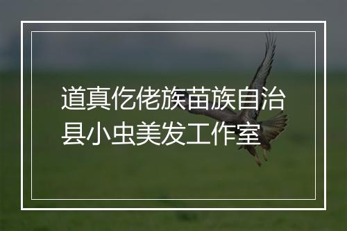 道真仡佬族苗族自治县小虫美发工作室