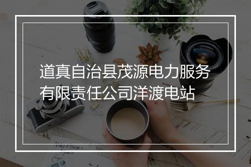 道真自治县茂源电力服务有限责任公司洋渡电站