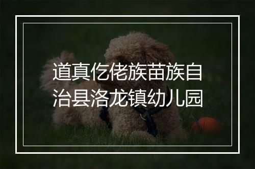 道真仡佬族苗族自治县洛龙镇幼儿园