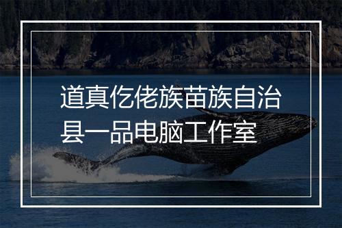 道真仡佬族苗族自治县一品电脑工作室