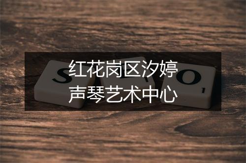 红花岗区汐婷声琴艺术中心