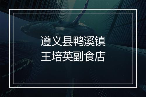 遵义县鸭溪镇王培英副食店