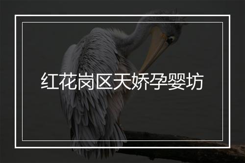 红花岗区天娇孕婴坊