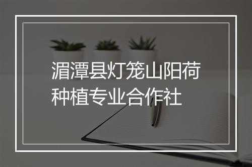 湄潭县灯笼山阳荷种植专业合作社
