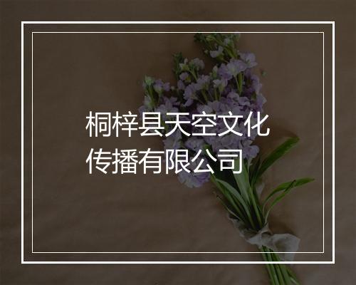 桐梓县天空文化传播有限公司