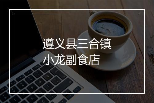 遵义县三合镇小龙副食店