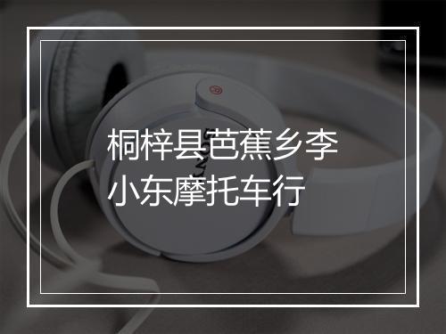 桐梓县芭蕉乡李小东摩托车行