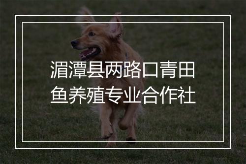 湄潭县两路口青田鱼养殖专业合作社