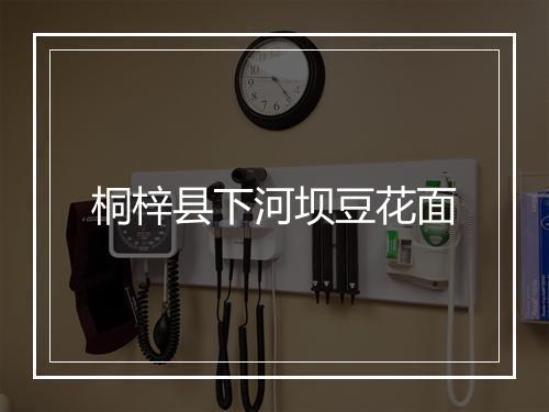 桐梓县下河坝豆花面