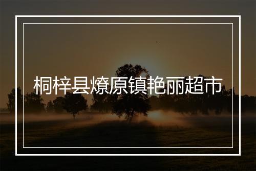 桐梓县燎原镇艳丽超市