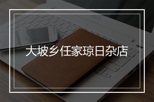 大坡乡任家琼日杂店