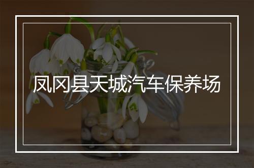 凤冈县天城汽车保养场