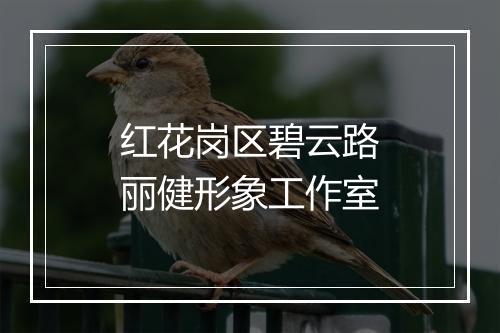 红花岗区碧云路丽健形象工作室