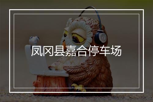 凤冈县嘉合停车场