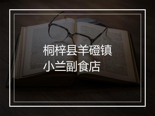 桐梓县羊磴镇小兰副食店