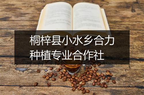 桐梓县小水乡合力种植专业合作社