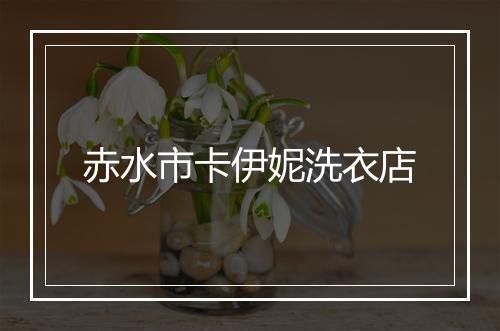 赤水市卡伊妮洗衣店