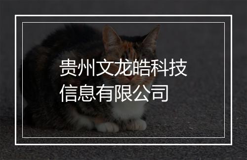 贵州文龙皓科技信息有限公司
