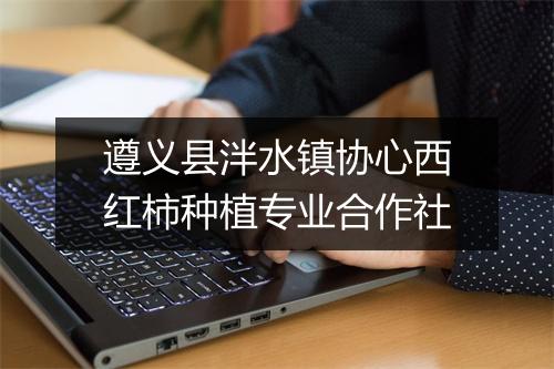 遵义县泮水镇协心西红柿种植专业合作社